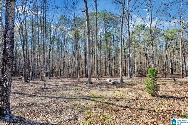 8330 DOGWOOD LANE, Morris, AL 35116