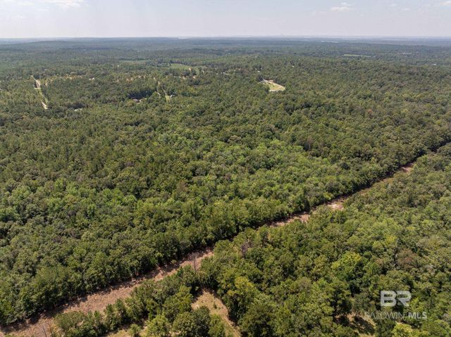 0 Snowden Lane, Bay Minette, AL 36507