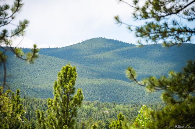 21 Crystal Rock Road, Bailey, CO 80421