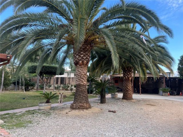 1191 Mountain View, Colton, CA 92324
