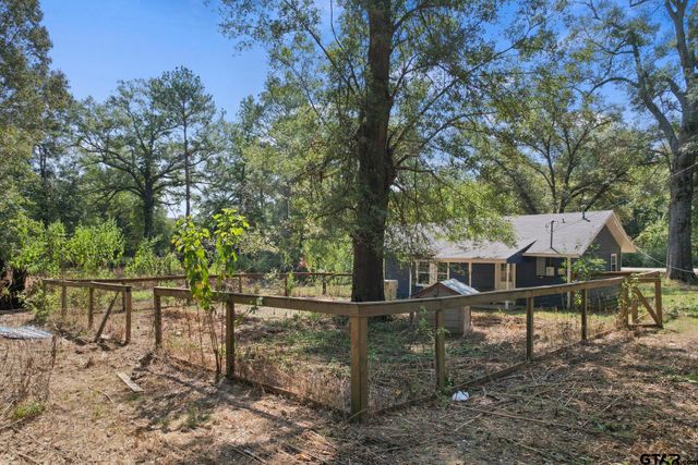 3826 W Highway 11, Daingerfield, TX 75638