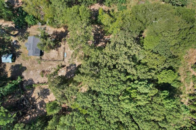 3826 W Highway 11, Daingerfield, TX 75638