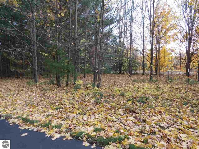 Lot 95 Eden Street, Kingsley, MI 49649