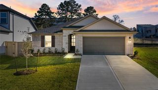 19737 Flag View Drive, Montgomery, TX 77316