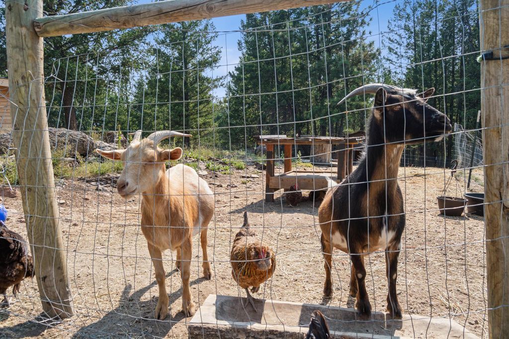 1284 Paradise Ridge Road, Rexford, MT 59930 photo 49