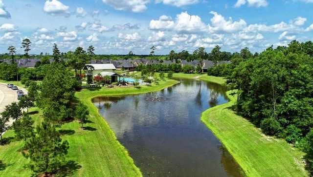 9848 Sweet Flag Ct, Conroe, TX 77385