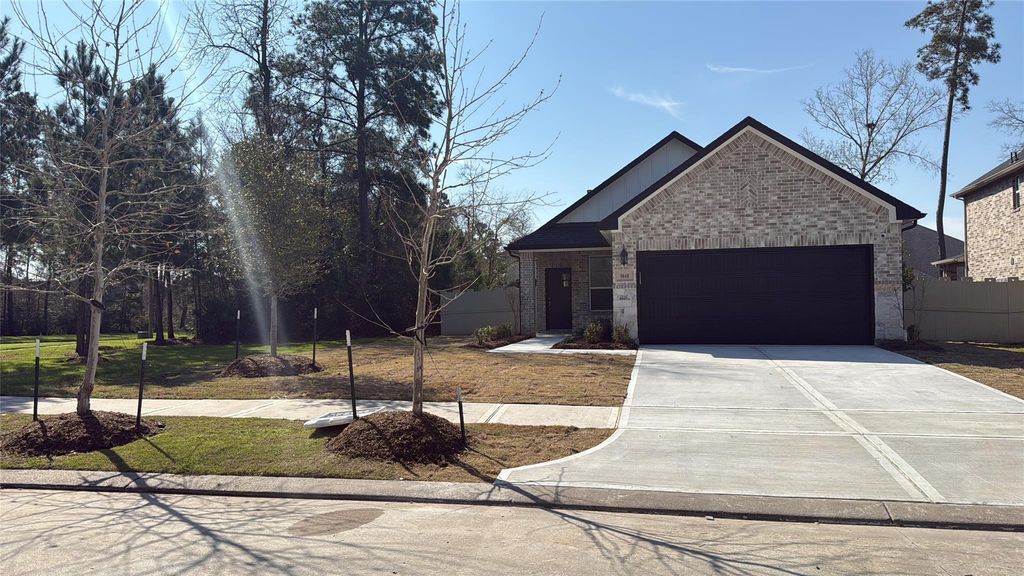 9848 Sweet Flag Ct, Conroe, TX 77385