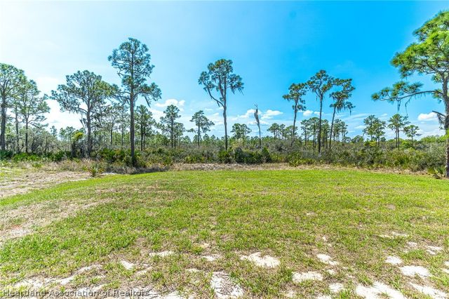 1411 Bittersweet Street, Lake Placid, FL 33852