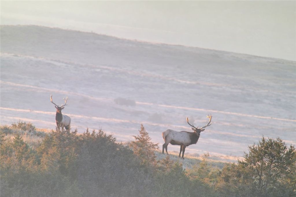 314 Oilfield Road, Glendive, MT 59326