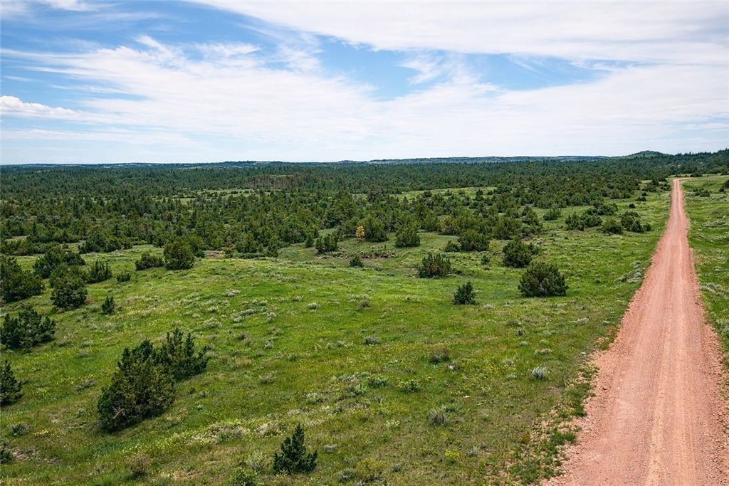 314 Oilfield Road, Glendive, MT 59326 photo 13