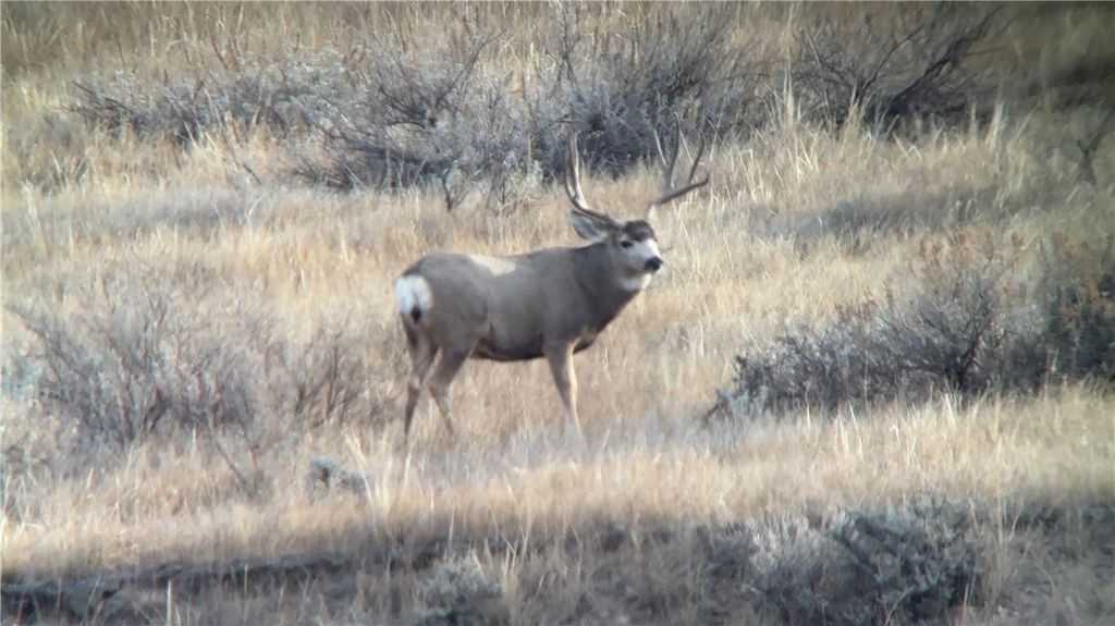 314 Oilfield Road, Glendive, MT 59326 photo 15