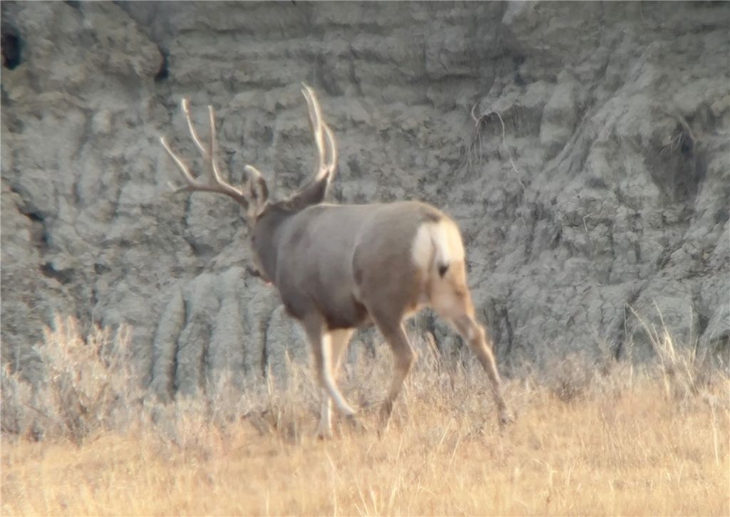 314 Oilfield Road, Glendive, MT 59326 photo 19