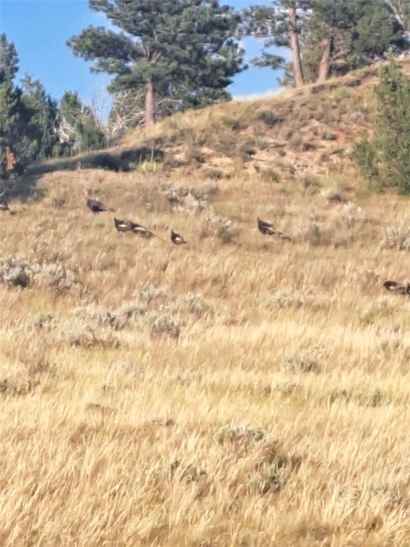 314 Oilfield Road, Glendive, MT 59326 photo 32