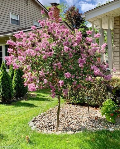 16371 Timberview Drive, Clinton Township, MI 48036