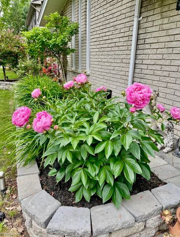 16371 Timberview Drive, Clinton Township, MI 48036