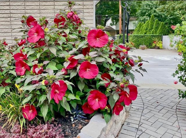 16371 Timberview Drive, Clinton Township, MI 48036