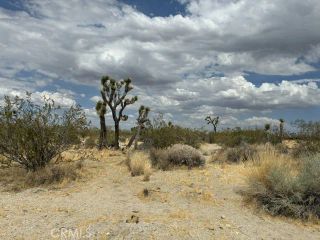 0 Ste/Vic, Black Butte, CA 93591