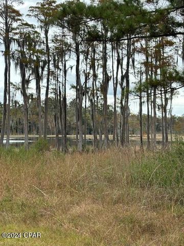 0000 Everest Drive, Chipley, FL 32428