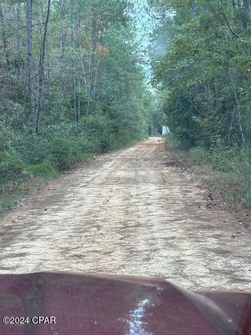 0000 Everest Drive, Chipley, FL 32428