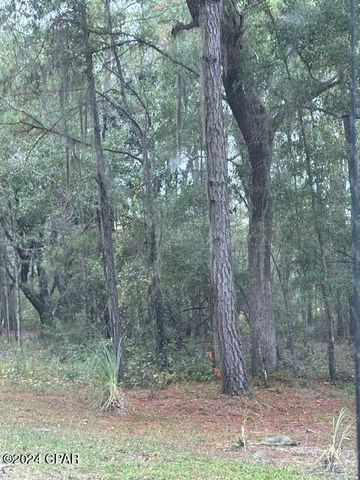 0000 Everest Drive, Chipley, FL 32428