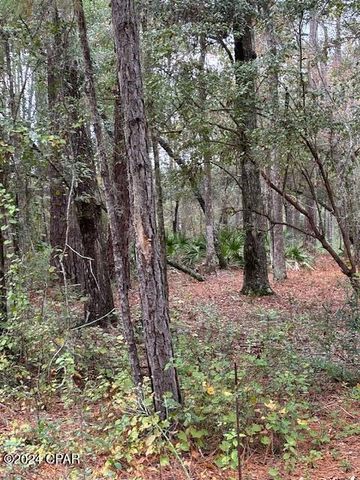 0000 Everest Drive, Chipley, FL 32428