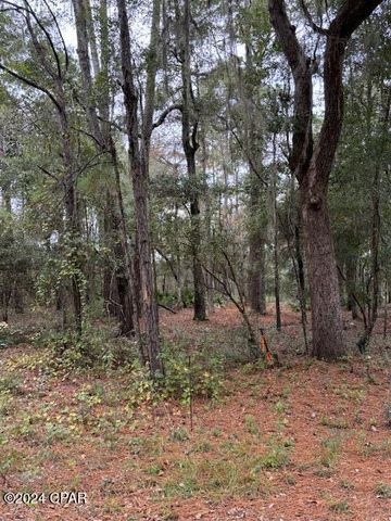 0000 Everest Drive, Chipley, FL 32428