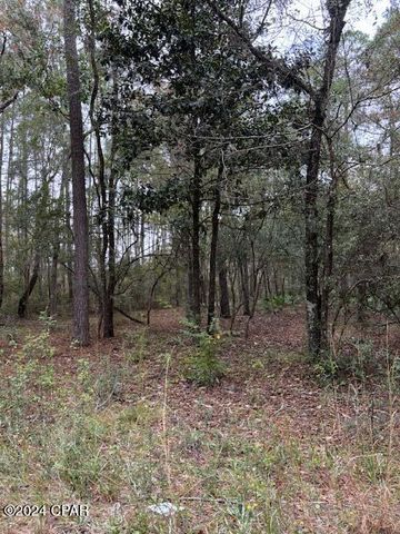 0000 Everest Drive, Chipley, FL 32428
