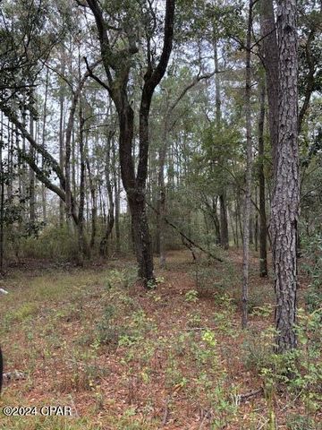 0000 Everest Drive, Chipley, FL 32428