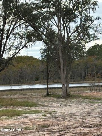 0000 Everest Drive, Chipley, FL 32428