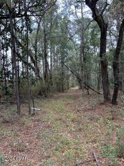0000 Everest Drive, Chipley, FL 32428