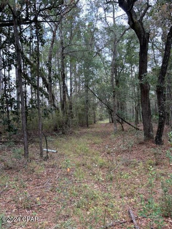 0000 Everest Drive, Chipley, FL 32428
