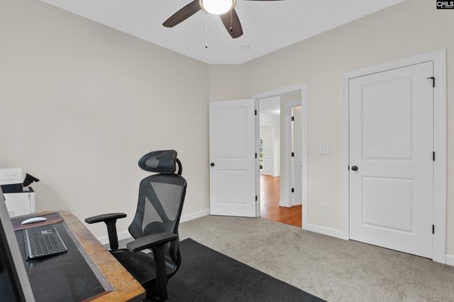 145 Indian Grass Drive, Chapin, SC 29036