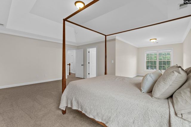 145 Indian Grass Drive, Chapin, SC 29036