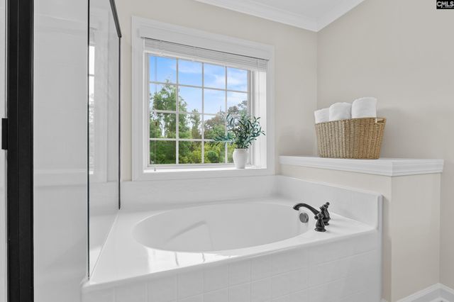 145 Indian Grass Drive, Chapin, SC 29036