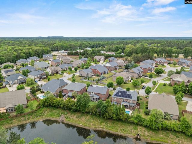 145 Indian Grass Drive, Chapin, SC 29036