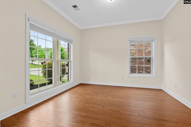 145 Indian Grass Drive, Chapin, SC 29036
