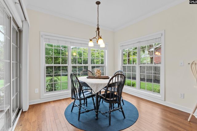 145 Indian Grass Drive, Chapin, SC 29036