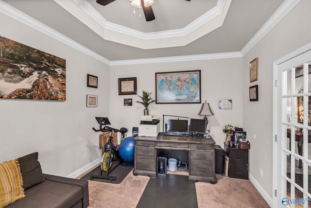 117 Chesnut Heath Court, Madison, AL 35756