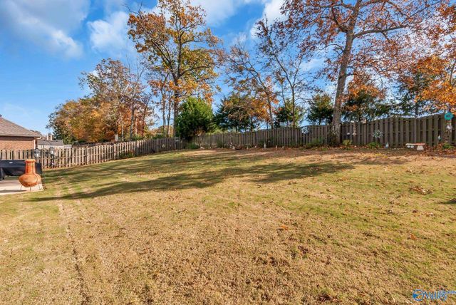 117 Chesnut Heath Court, Madison, AL 35756