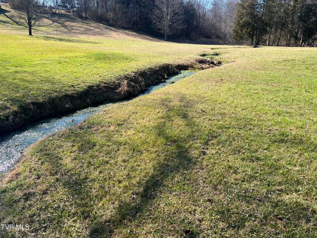 0 Primrose Court, Mount Carmel, TN 37645