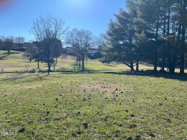 0 Primrose Court, Mount Carmel, TN 37645