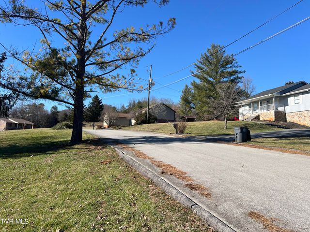 0 Primrose Court, Mount Carmel, TN 37645