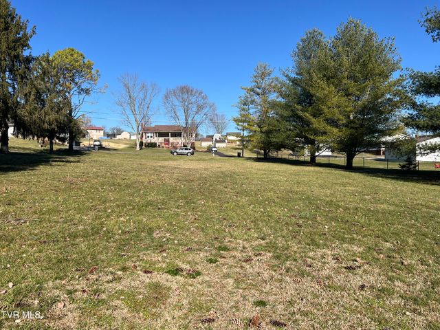 0 Primrose Court, Mount Carmel, TN 37645