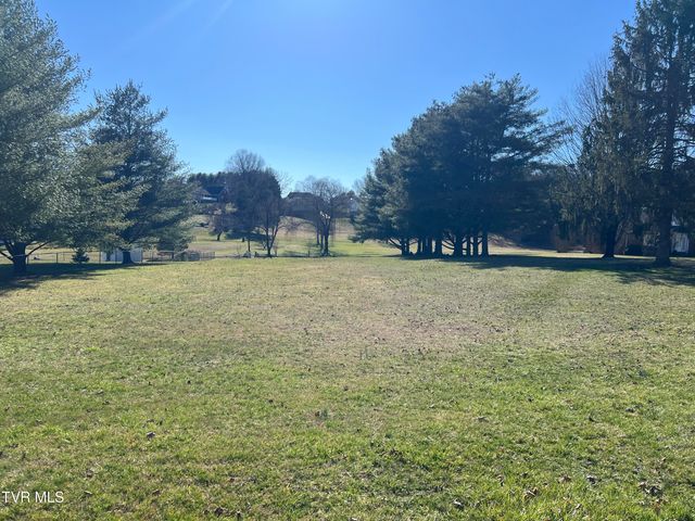 0 Primrose Court, Mount Carmel, TN 37645