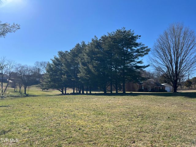 0 Primrose Court, Mount Carmel, TN 37645