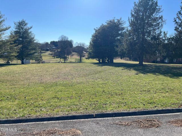 0 Primrose Court, Mount Carmel, TN 37645