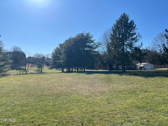 0 Primrose Court, Mount Carmel, TN 37645