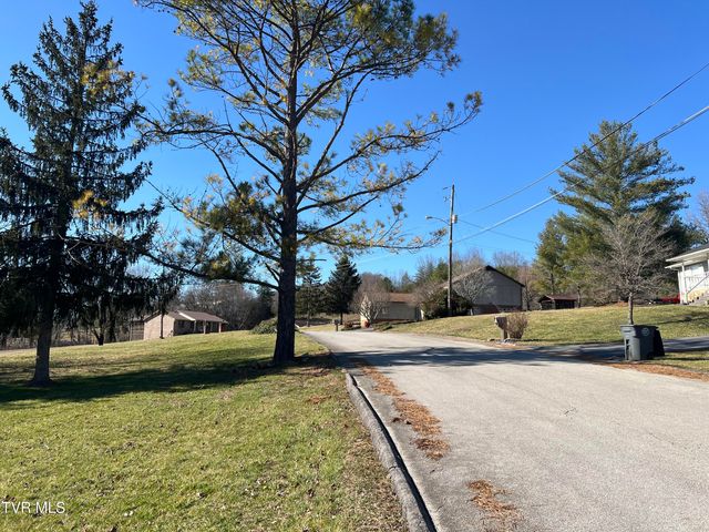 0 Primrose Court, Mount Carmel, TN 37645