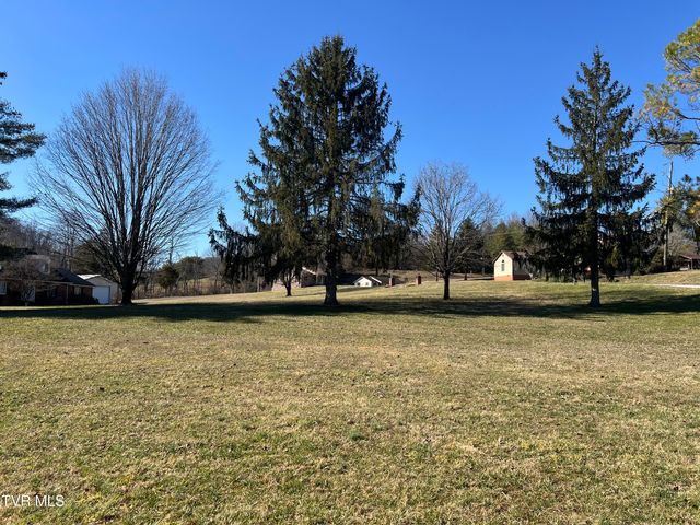 0 Primrose Court, Mount Carmel, TN 37645