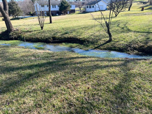 0 Primrose Court, Mount Carmel, TN 37645